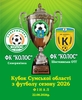 Сумський футбол.